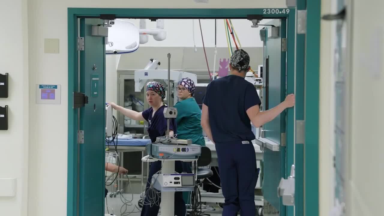 Get to know the Operating Room (Perioperative)