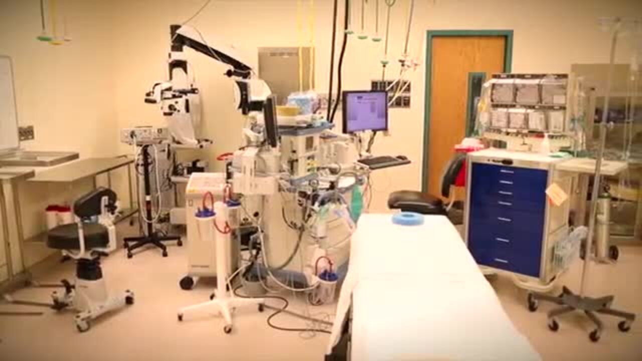 See what to expect on the day of your surgery from a kid's perspective.