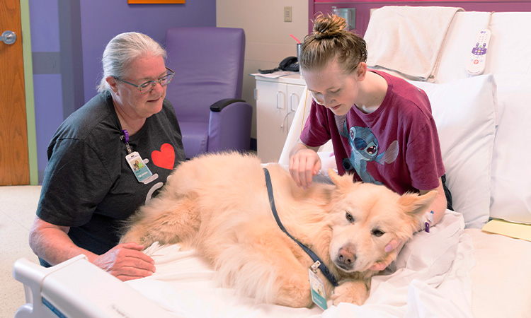 A Children's Mercy adult volunteer visit's a patient in her hospital room with a facility dog.