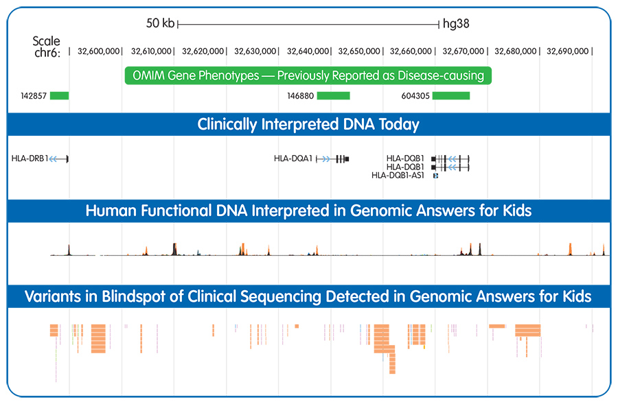 Chart displaying OMIM Gene Phenotypes, Clinically Interpreted DNA Today, Human Functional DNA Interpreted in Genomic Answers for Kids, and Variants in Blindspot of Clinical Sequencing Detected in Genomic Answers for Kids