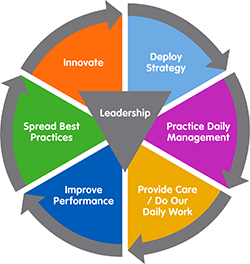 The word "Leadership" is surrounded by the following words, making a continuous circle with arrows: Innovate, Deploy Strategy, Practice Daily Management, Provide Care/Do Our Daily Work, Improve Performance, Spread Best Practices.