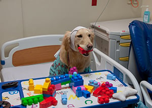 Hope plays with toys in the EMU at Children's Mercy.