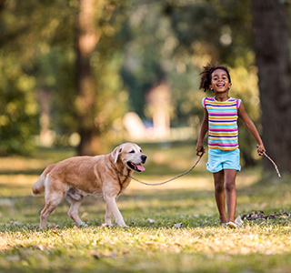 Young preteen girl walking in a park, carrying a stick and holding a dog on a leash.