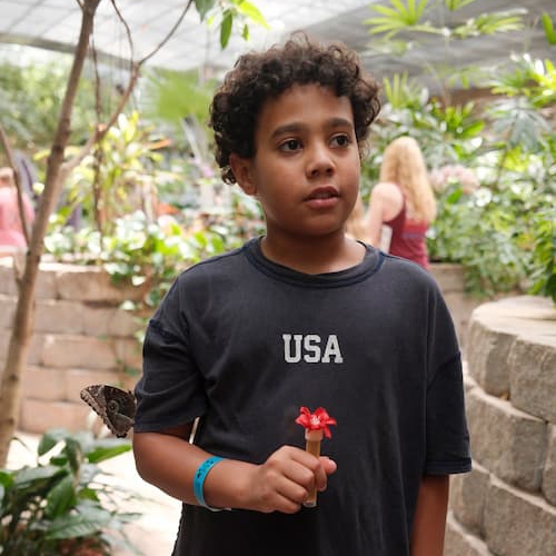 Lewis in Black shirt holding a butterfly 
